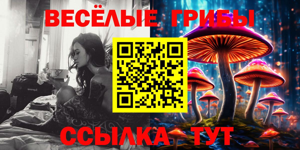 Псилоцибиновые грибы прущие грибы Кингисепп